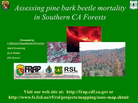 Assessing pine bark beetle mortality in Southern CA Forests Presented by California Department of Forestry Mark Rosenberg Rich Walker Bill Stewart Visit.