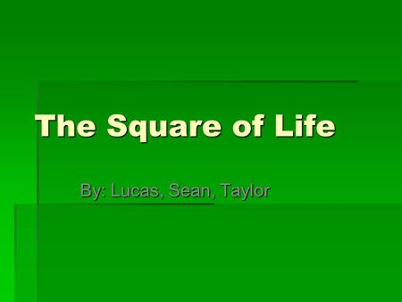 The Square of Life By: Lucas, Sean, Taylor. Swasey Central School  Ant  Beetle  Flying Bugs  Spiders  Worm  Frog Eggs  Inch Worm  Black Beetle.