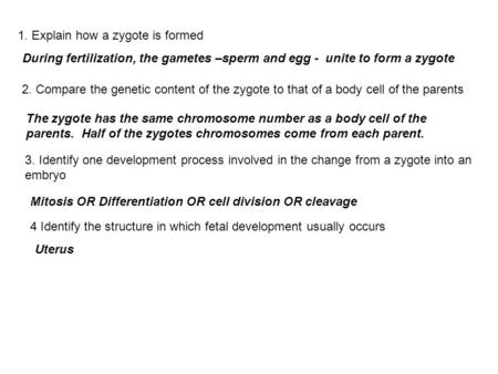 1. Explain how a zygote is formed
