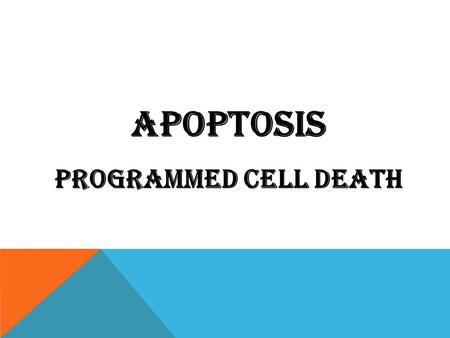 Apoptosis Programmed cell death. OBJECTIVES DEFINITION, PHYSIOLOGIC AND PATHOLOGIC CONDITIONS. DESCRIBE THE MORPHOLOGY AND DISCUSS THE POSSIBLE MECHANISMS.