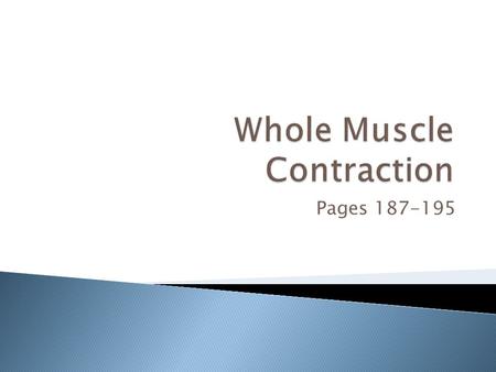 Pages 187-195.  Muscle fiber contraction is “all or none” ◦ There is no “in-between” contraction  Not all fibers may be stimulated at one time  Different.