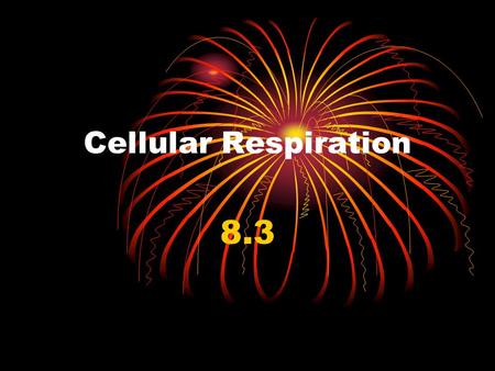 Cellular Respiration 8.3. I. Cellular Respiration A.Cellular Respiration- The process that breaks down food molecules (glucose) into ATP 1. Takes place.