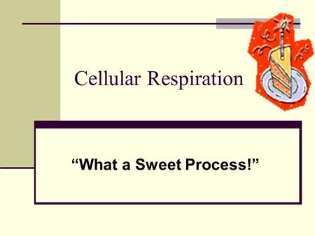 Cellular Respiration “What a Sweet Process!” Defined as: the process by which mitochondria break down food molecules to produce ATP C 6 H 12 O 6 + 6O.