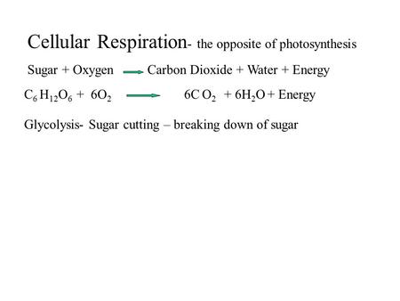 Cellular Respiration - the opposite of photosynthesis Sugar + Oxygen Carbon Dioxide + Water + Energy C 6 H 12 O 6 + 6O 2 6C O 2 + 6H 2 O + Energy Glycolysis-