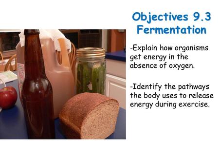 Lesson Overview Lesson OverviewFermentation Objectives 9.3 Fermentation -Explain how organisms get energy in the absence of oxygen. -Identify the pathways.