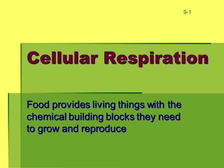 9-1 Cellular Respiration