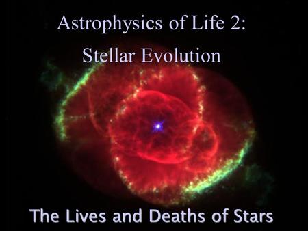 The Lives and Deaths of Stars
