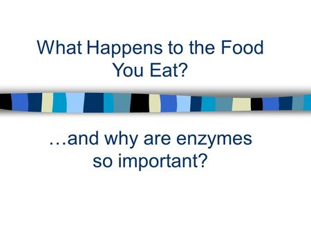 …and why are enzymes so important? What Happens to the Food You Eat?