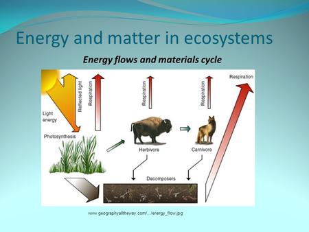 Energy and matter in ecosystems www.geographyalltheway.com/.../energy_flow.jpg Energy flows and materials cycle.