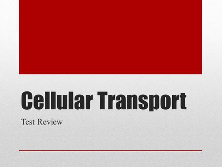 Cellular Transport Test Review. What does this picture represent??