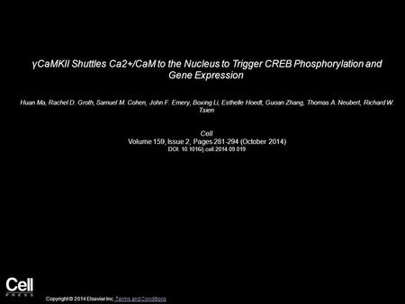 ΓCaMKII Shuttles Ca2+/CaM to the Nucleus to Trigger CREB Phosphorylation and Gene Expression Huan Ma, Rachel D. Groth, Samuel M. Cohen, John F. Emery,