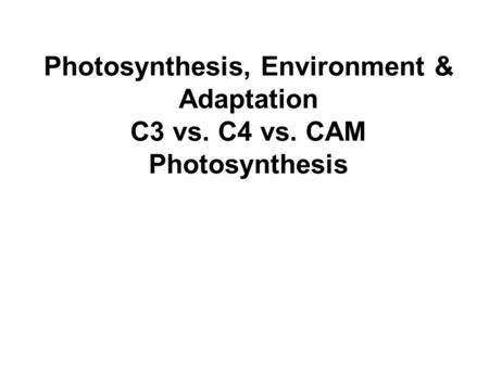 Photosynthesis, Environment & Adaptation C3 vs. C4 vs. CAM Photosynthesis.
