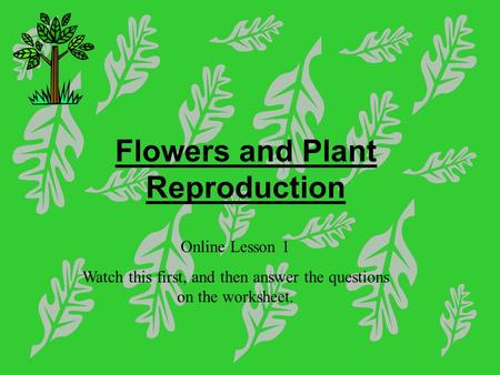 Flowers and Plant Reproduction Online Lesson 1 Watch this first, and then answer the questions on the worksheet.