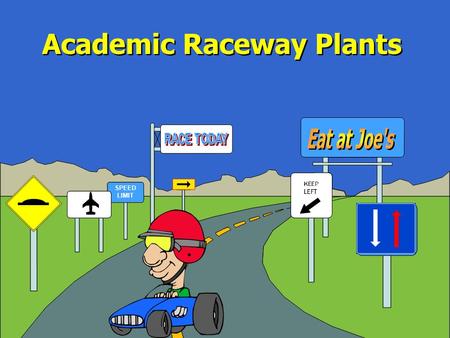 SPEED LIMIT Academic Raceway Plants Plant Parts The student will study the basic parts of plants, investigate how plants produce food, and discover that.