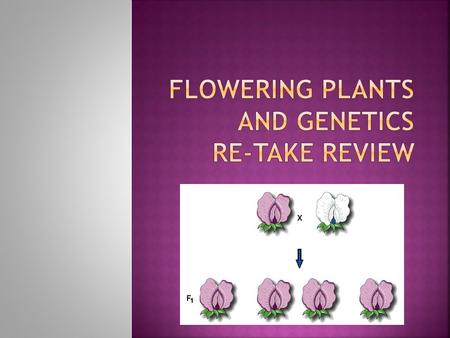  The reproductive structures of plants called angiosperms.