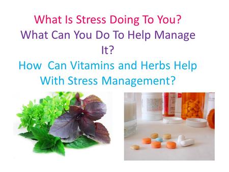 What Is Stress Doing To You. What Can You Do To Help Manage It