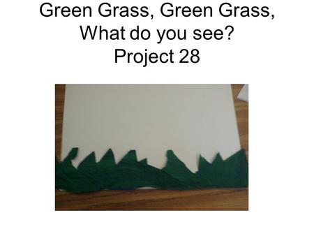 Green Grass, Green Grass, What do you see? Project 28.