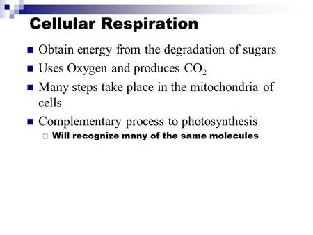 Cellular Respiration Obtain energy from the degradation of sugars Uses Oxygen and produces CO 2 Many steps take place in the mitochondria of cells Complementary.