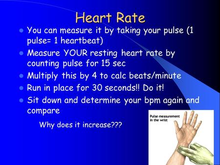 Heart Rate You can measure it by taking your pulse (1 pulse= 1 heartbeat) Measure YOUR resting heart rate by counting pulse for 15 sec Multiply this by.