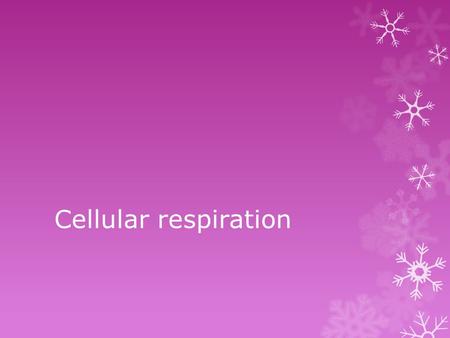 Cellular respiration.  Occurs in mitochondria of the cells of all organisms all the time.