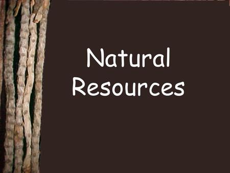Natural Resources.