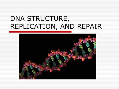 DNA STRUCTURE, REPLICATION, AND REPAIR. DNA-Structure  Double helix Hydrophobic nitrogen bases on the inside Hydrophilic phosphate-sugar backbones on.