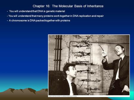Chapter 16: The Molecular Basis of Inheritance - You will understand that DNA is genetic material - You will understand that many proteins work together.