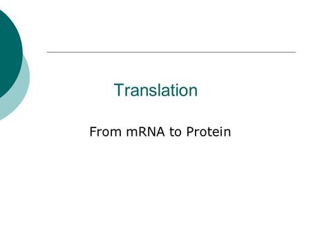 Translation From mRNA to Protein.