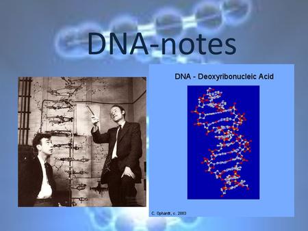 DNA-notes.