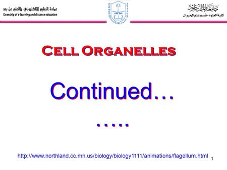 Continued…….. Cell Organelles