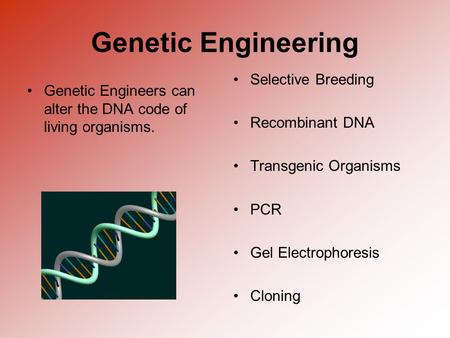Genetic Engineering Genetic Engineers can alter the DNA code of living organisms. Selective Breeding Recombinant DNA Transgenic Organisms PCR Gel Electrophoresis.