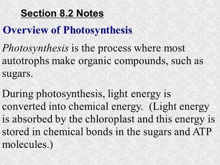 Overview of Photosynthesis