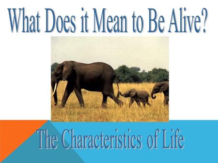 WHICH THINGS ARE ALIVE? All living things share some basic properties. Cellular Organization Cellular Organization Reproduction Reproduction Metabolism.