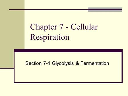 Chapter 7 - Cellular Respiration
