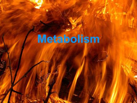 Metabolism Cell Energetics Metabolism = total of all the chemical reactions taking place in an organism.