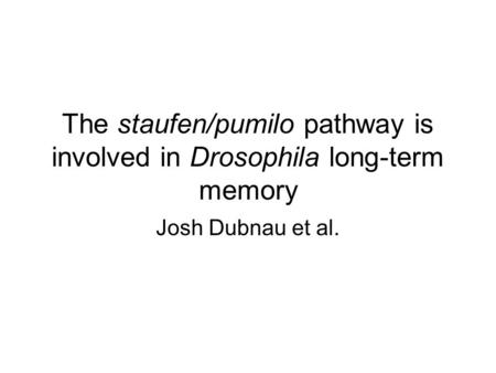 The staufen/pumilo pathway is involved in Drosophila long-term memory Josh Dubnau et al.