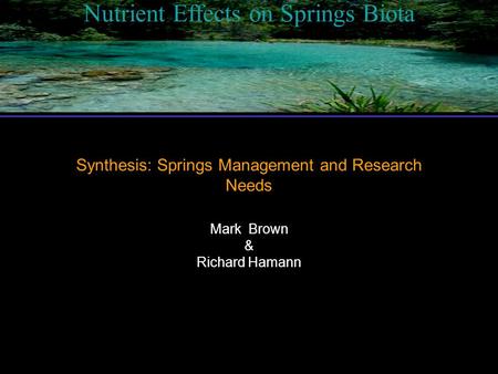 Nutrient Effects on Springs Biota Synthesis: Springs Management and Research Needs Mark Brown & Richard Hamann.