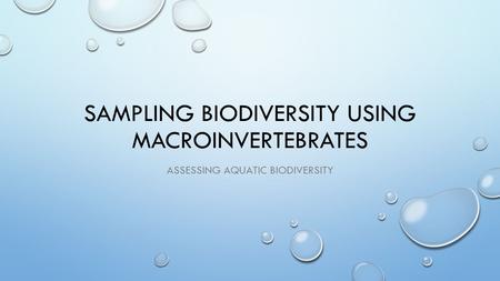 Sampling Biodiversity Using macroinvertebrates