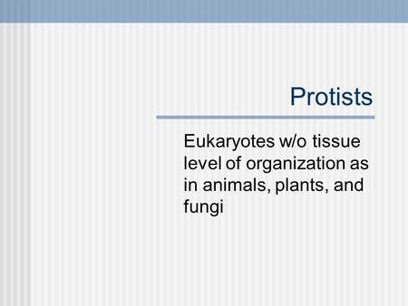 Protists Eukaryotes w/o tissue level of organization as in animals, plants, and fungi.