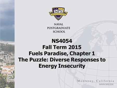 NS4054 Fall Term 2015 Fuels Paradise, Chapter 1 The Puzzle: Diverse Responses to Energy Insecurity.