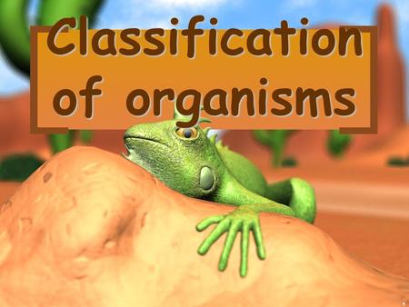 1 Classification of organisms. 2 There are 13 billion known species of organisms There are 13 billion known species of organisms This is only 5% of all.