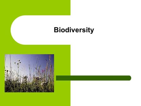 Biodiversity. How do Biotic and Abiotic factors affect communities?