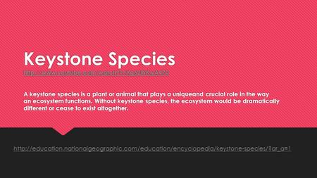 Keystone Species   Keystone Species