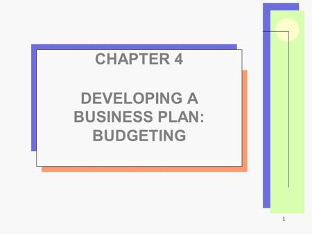 1 CHAPTER 4 DEVELOPING A BUSINESS PLAN: BUDGETING.