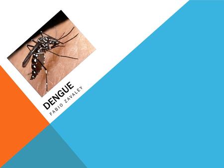 DENGUE FABIO ZAVALEY. WHAT IS DENGUE? Dengue is a disease spread by mosquitos Not all mosquitos carry dengue There are 3 major diseases that the mosquitos.