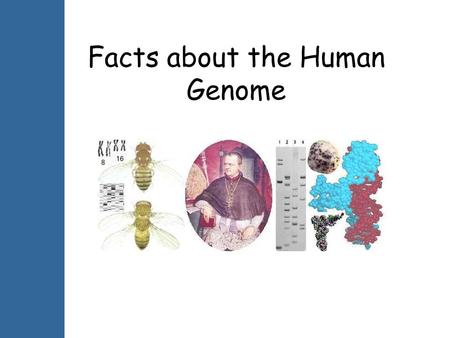 Facts about the Human Genome.