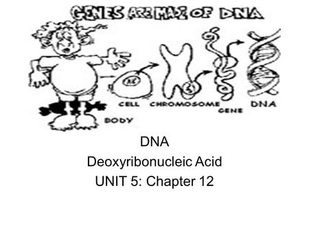 DNA Deoxyribonucleic Acid UNIT 5: Chapter 12