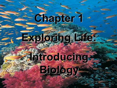Chapter 1 Exploring Life: Introducing Biology. Life is Organized on Several Levels.