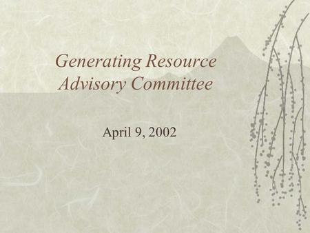 Generating Resource Advisory Committee April 9, 2002.