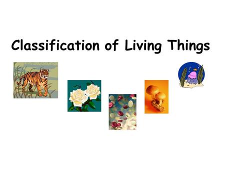 Classification of Living Things. Taxonomy: Classification Taxonomy Song.